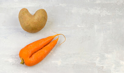 Food waste banner. Ugly vegetables: heart-shaped potatoes and carrots on a gray concrete...