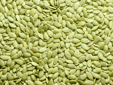 Pumpkin seeds heap background closeup