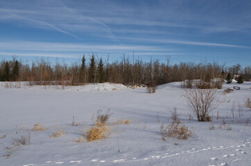 Pylypow Wetlands in the Winter