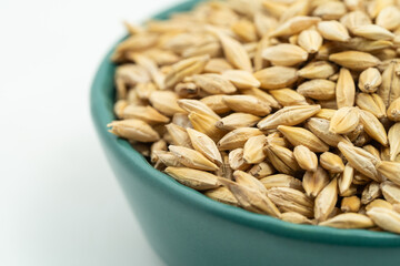 Barley seeds on a monochrome background