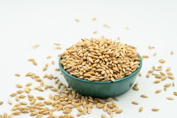 Barley seeds on a monochrome background