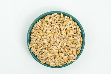 Barley seeds on a monochrome background