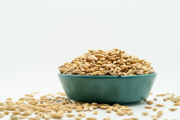 Barley seeds on a monochrome background