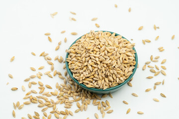 Barley seeds on a monochrome background