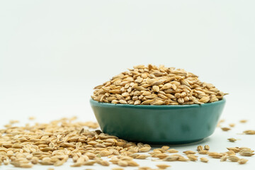 Highland barley seeds on a monochrome background