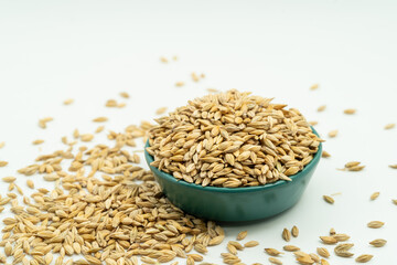 Highland barley seeds on a monochrome background