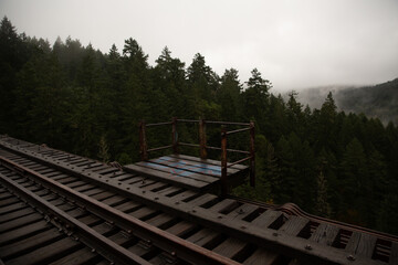 plateform on a trestle in BC Canada