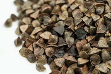 Sweet buckwheat seeds on a monochrome background