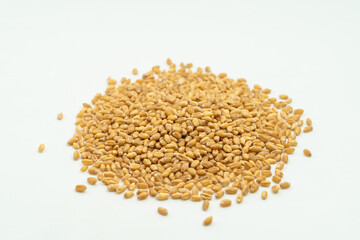 Wheat seeds on a monochrome background