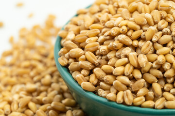 Wheat seeds on a monochrome background