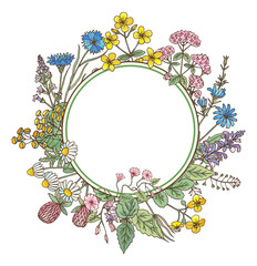 Decorative floral frame. Natural herb round border