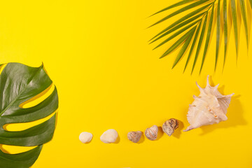 Top view on monstera and palm leaves with sea shells on yellow background. Concept of beach holiday, sea tour, warm sunny summer. Advertising space