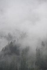 Fototapeta na wymiar bosco pioggia maltempo nuvole 