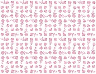 pattern print pink color rose with leaves on white background is drawn by hand