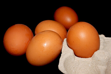 brown chicken eggs in a egg cup