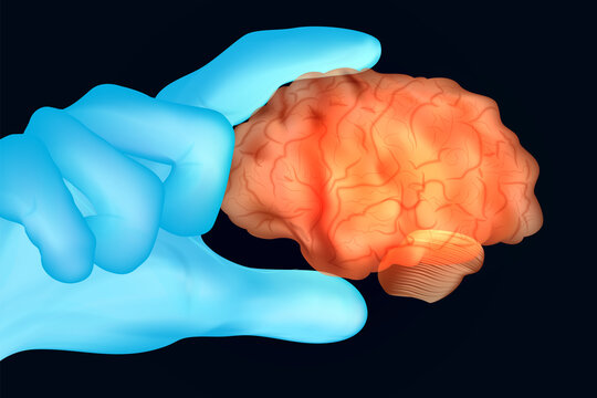 Doctor's hand in blue gloves hold human brain. Vector illustration.