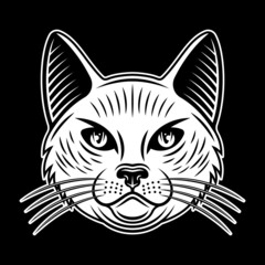 Cat head vector illustration in vintage style on dark background