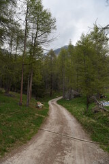 strada di montagna 