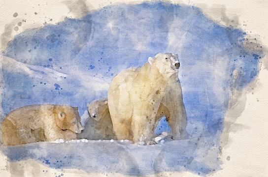 Polar bear and cubs,digital watercolor painting