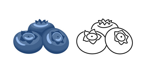 Blueberry color cartoon illustration and outline. Vector fresh  berry. Flat icon.