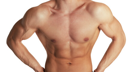 Fototapeta na wymiar Muscular torso of bodybuilder