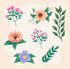 collection of flowers and leaves