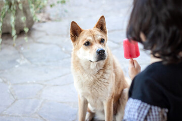 I also love ice cream