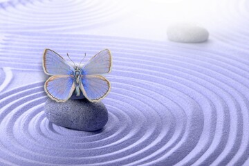 Fototapeta na wymiar Zen garden meditation stone for concentration and relaxation with butterfly. Very peri color 2022 concept.