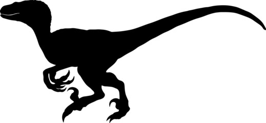raptor silhouette black vector illustration