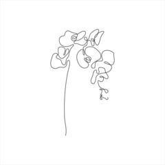 One line orchid flower. Creative artwork flower silhouette. Hand drawn minimalism style vector illustration.
