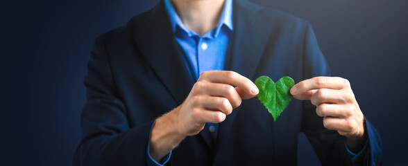 Businessman holding a green heart leaf  Business with corporate social responsibility and...