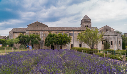 Saint-Rémy-de-Provence, Provence-Alpes-Côte d'Azur - France - July 10 2021: Lavender fields at the Monastery of Saint-Paul de Mausole, Saint-Rémy.
