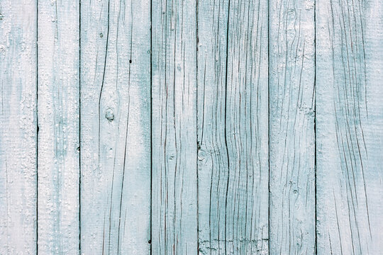 Wooden background. Old black and white painted fence in good condition. Solid wooden wall from weathered cracked boards. Barn wood wall.