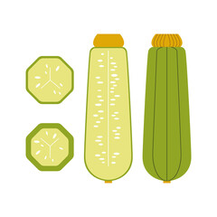 Zucchini whole, cut across and sliced. Green summer plant on a white background. Vector geometric flat style.