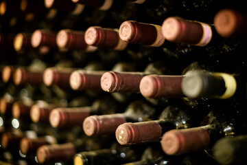 Rows of red wine bottles maturing in a cellar on racks