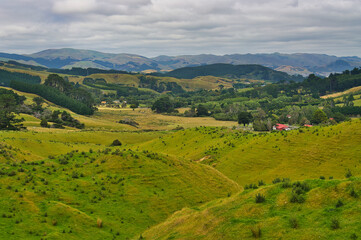 The green hills with meadows and trees of Battle Hill Farm, Pauatahanui, Porirua, Greater Wellington, North Island, New Zealand. A typical New Zealand landscape.
