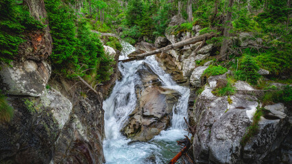 waterfall in the forest