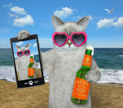 An ashen cat in sunglasses with a bottle of beer makes a selfie by the sea.