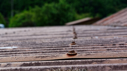 A line of lead head nails holds down an old, rusty corrugated iron roof