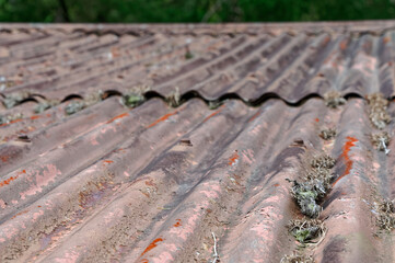 A rusty old corrugated iron roof is starting to lift at the join