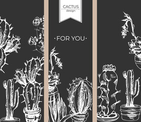 cactus, graphics set of postcards_CACTUS design, set of floral of postcards, plant backgrounds, colorful cartoon cactus, collection of succulents, hand drawing contour, graphics , stripe,