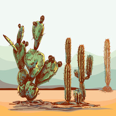 background desert landscape with cacti_High quality background desert landscape with cacti, sunset, natural stylish, suculents, ideal for wallpaper, surface textures