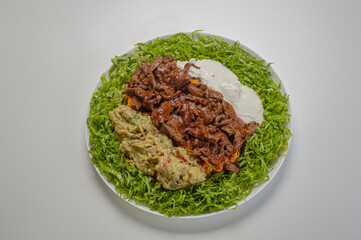 filet mignon in strips with sauce served with guacamole and curds and chopped lettuce