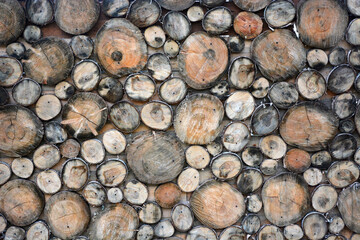 Woodcut from a old oak tree