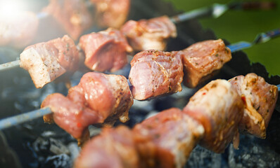 Tasty pork shashlik on the grill.