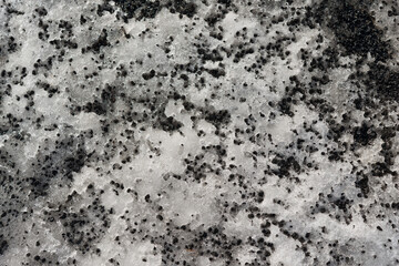 background (grit and melting ice)