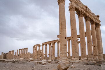 Fototapeta premium Ruins of ancient city of Palmyra - Syria