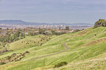 Rolling Green Hills in front of Oakland Skyline During the Day