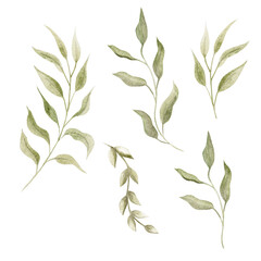 watercolor leaves composition clipart