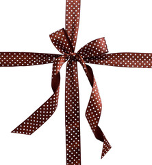 a bow highlighted on a white background